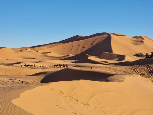 Tuareg Luxury Camp in Hassilabied