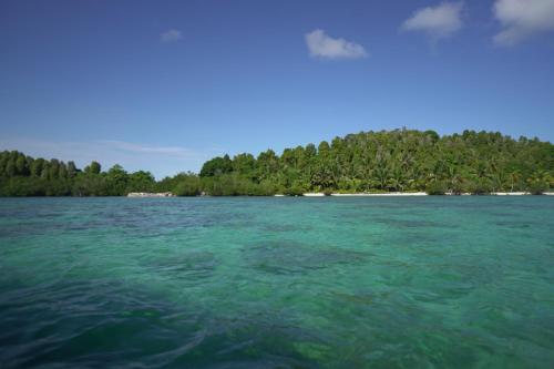 Vista, Suzi Beach House in Illa Mentawai