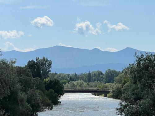 Palmen Apartment direkt in Bad Aibling in Bad Aibling