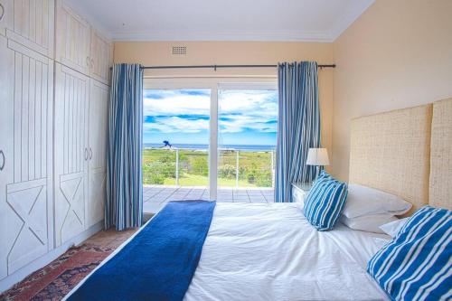 Tolbos in Betty's Bay, Bettyʼs Bay (foto 10)