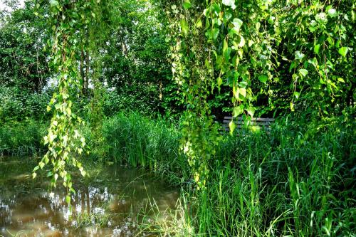 Ferienwohnung Simonsen in 拉本基爾興-福呂克