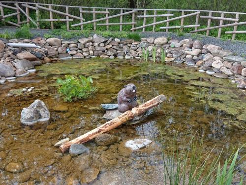 Holiday Home Chalupa U Bobra-1 by Interhome