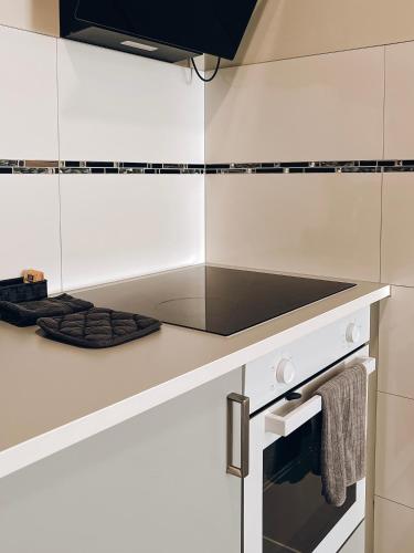 廚房, Ferienwohnung, Monteur-Appartment R22 in 內卡河畔弗萊貝爾格