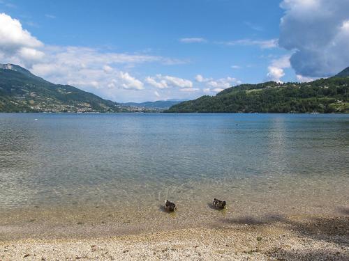 Apartment Casa Polla-1 by Interhome