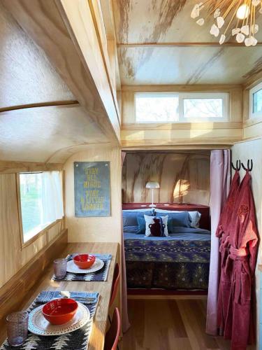 Renovated Spartan VooDoo Renovated Spartan VooDoo