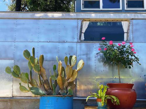 Renovated Spartan VooDoo Renovated Spartan VooDoo