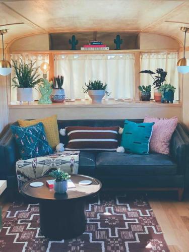 Renovated Spartan VooDoo Renovated Spartan VooDoo