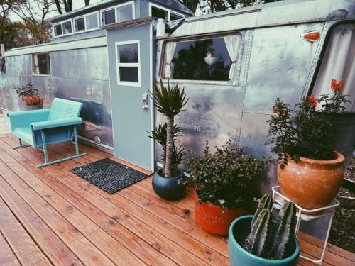 Renovated Spartan VooDoo Renovated Spartan VooDoo