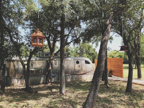 Renovated Spartan VooDoo Renovated Spartan VooDoo