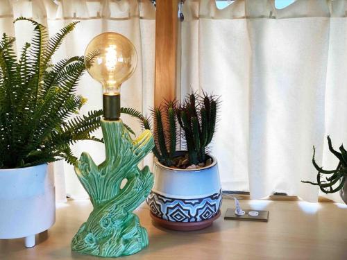 Renovated Spartan VooDoo Renovated Spartan VooDoo