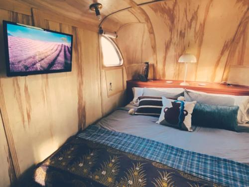 Renovated Spartan VooDoo Renovated Spartan VooDoo