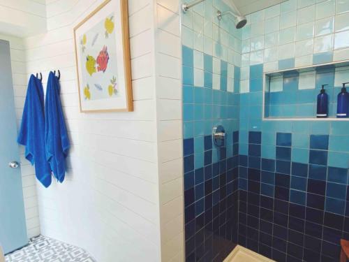 Renovated Spartan VooDoo Renovated Spartan VooDoo