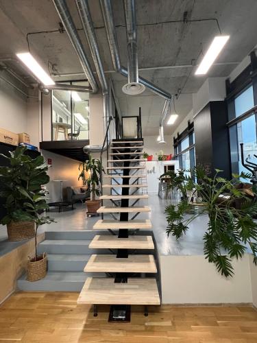 Loft New York à Marseille, Marseille