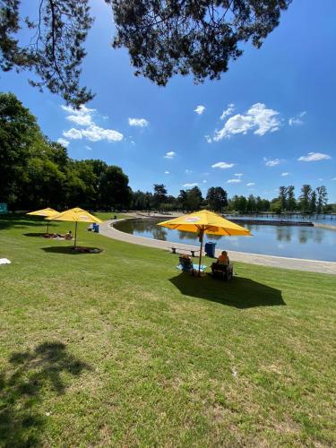 View, Front room in Villa near Centre and TUe in Eindhoven