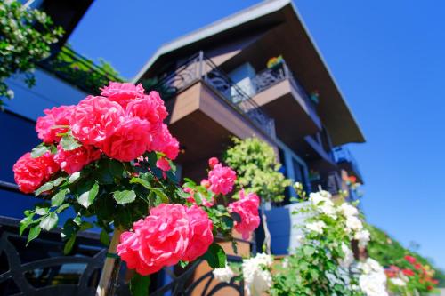 Peerless Villas Hotel, Trabzon