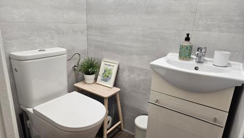 Central River Room - private WC, Bilbao (photo 5)