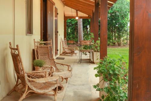Azienda Agrituristica Il Pago 3