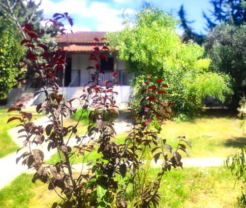 Vergia Studios gîte à louer Toúmpa
