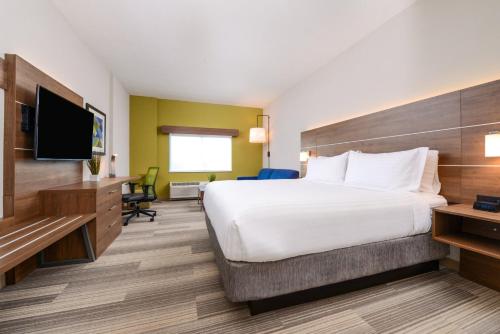 Holiday Inn Express & Suites - St. Petersburg - Madeira Beach an IHG Hotel - image 11