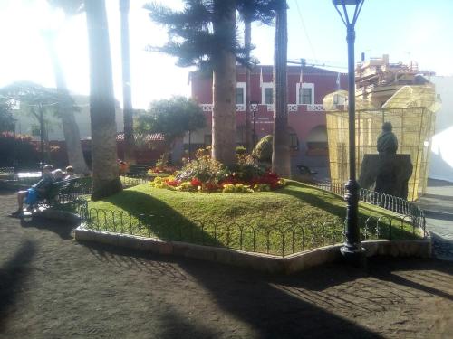 Hostel Orotava - Tap to explore photos
