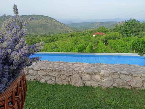 Green Silence - Iva in Danilovgrad