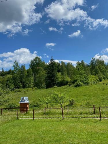 Карпатська Полонина, Jaremče (foto 8)