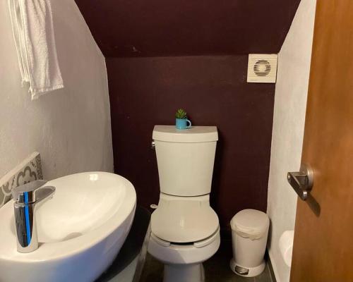 Amplio Apartamento Renovado en García Gineres in Mérida, Mexico