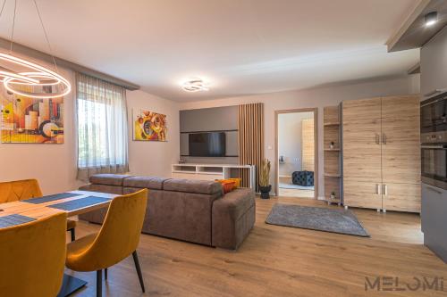 Facilities, Melomi Apartman in Sarvar
