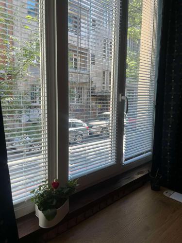 EL apartment, Sofia (photo 8)