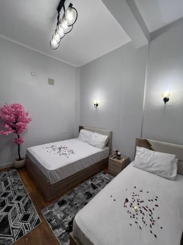 Downtown view studios