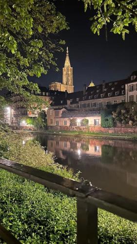 Le Roble - 5 min du centre de Strasbourg, Strasbourg (photo 10)
