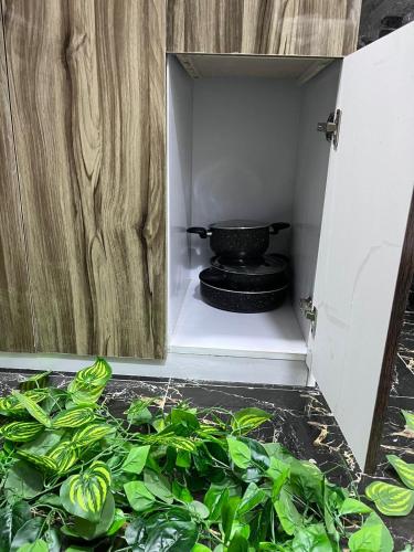 Downtown view studios