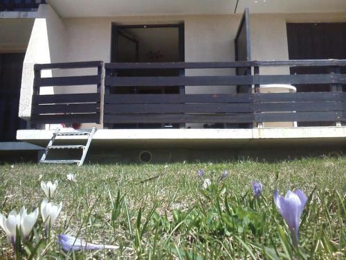 Appartement plein sud avec terrasse Appartement plein sud avec terrasse