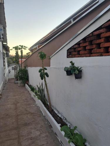 Pedacinho na Roça (Pedacinho na Roca) in Aguas de Sao Pedro (Sao Paulo)