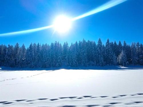 Pines on the Pond by Casago McCall - Donerightmanagement