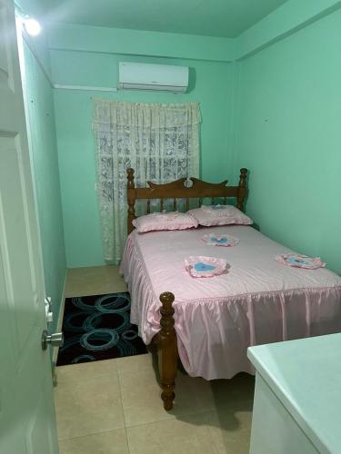 Pam Nest in Grand Anse