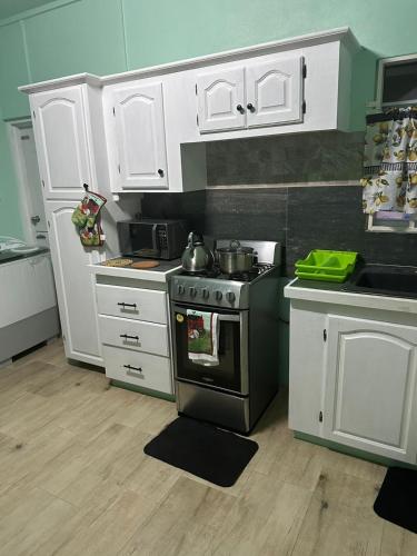 Pam Nest in Grand Anse