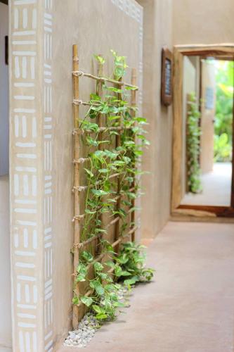 Secret Spot by Palapita Beach House in Puerto Escondido