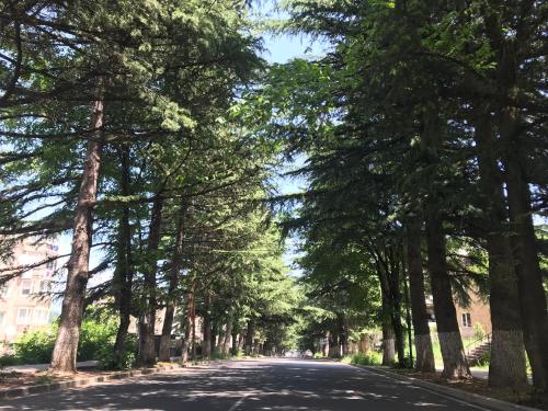Квартира с видом на природу, Dilidschan (Foto 3)