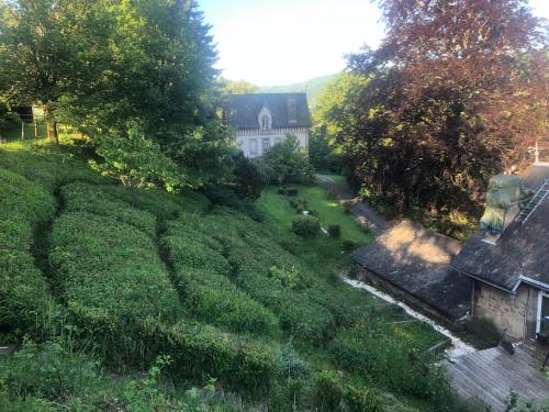 haras de la Cère et ses chevaux (haras de la Cere et ses chevaux) in Polminhac