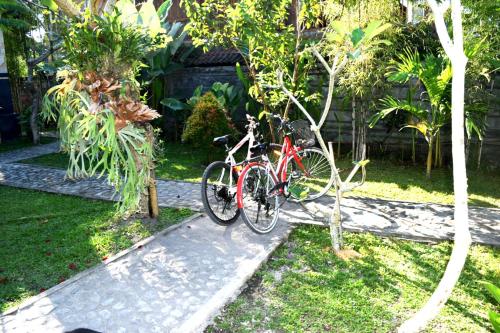 Ubud Sawah Scenery Villa and Homestay