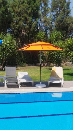 Seaview and Mountainview Studio Seaview and Mountainview Studio