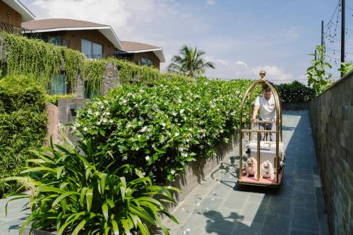 568250479 Bellerive Hoi An Resort and Spa