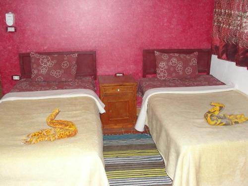 safari &hotel in Bawiti