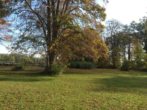 Nykøbing Falster Vandrehjem - image 3