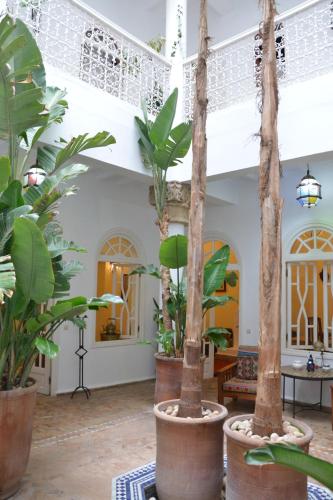 Létesítmények, Dar Loulema in Essaouira Városközpont