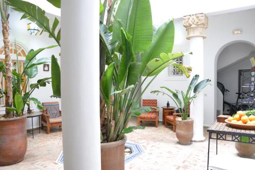 Létesítmények, Dar Loulema in Essaouira Városközpont