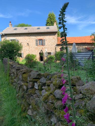 Lavande in Le Nouhaut