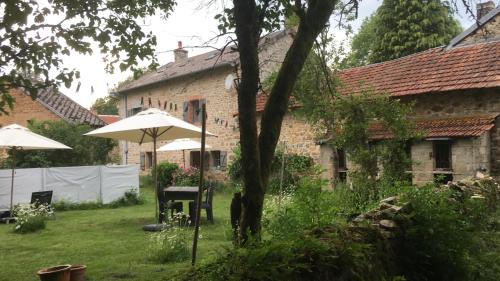 Lavande in Le Nouhaut