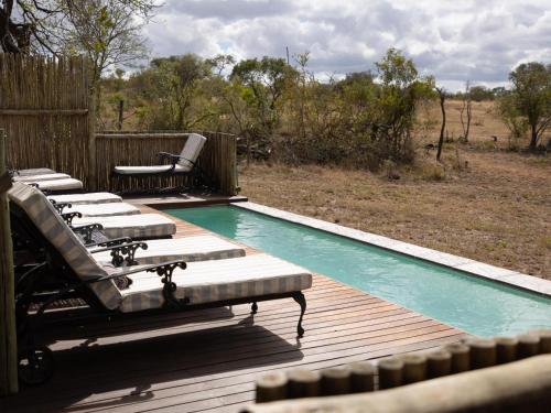 Úszómedence, KwaMbili Game Lodge in Thornybush vadrezervátum